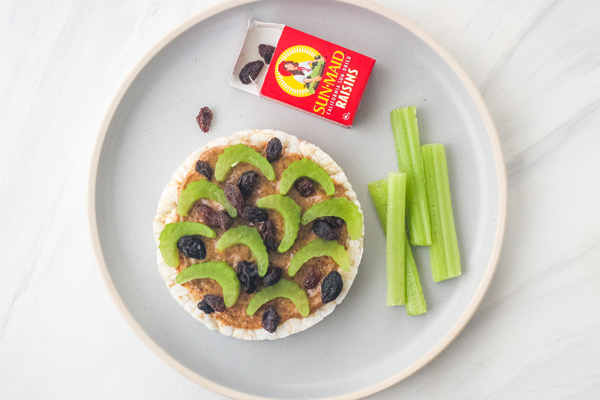 Plate with rice cake, celery sticks, and small box of raisins.