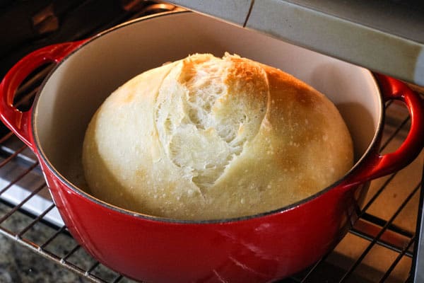 Small dutch oven bread baking inside a countertop oven.