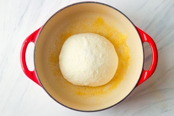 Small ball of dough rising in a red dutch oven.