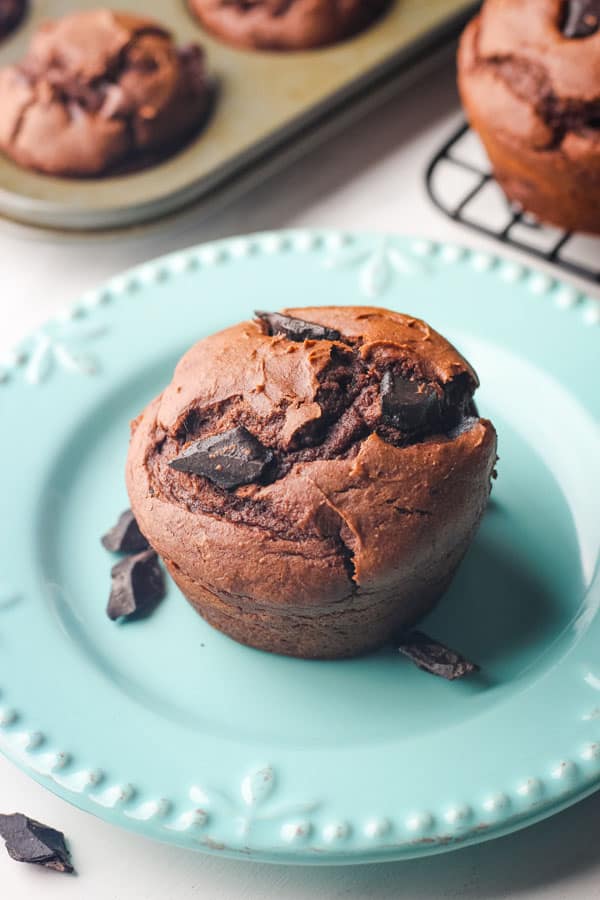 Chocolate muffin on a small blue plate.