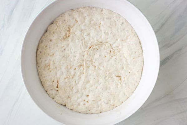 Overhead view of bubbly fermented bread dough.