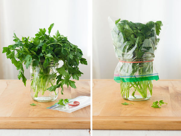 First Photo: Parsley in a mason jar with water. Second Photo: Parsley in mason jar covered with a plastic bag.