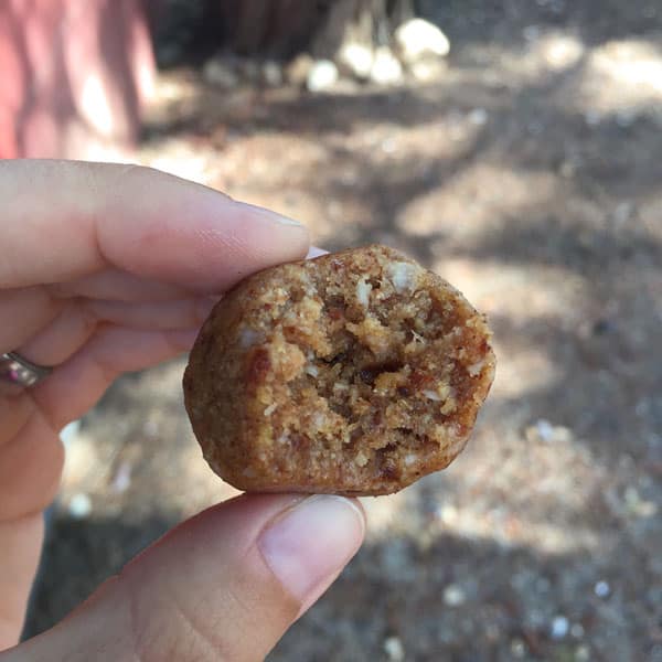 A hand holding a protein ball with a bite taking out of it.