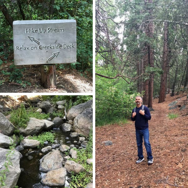 Photos of a sign leading a creek, Strawberry Creek and a man standing in the forrest.