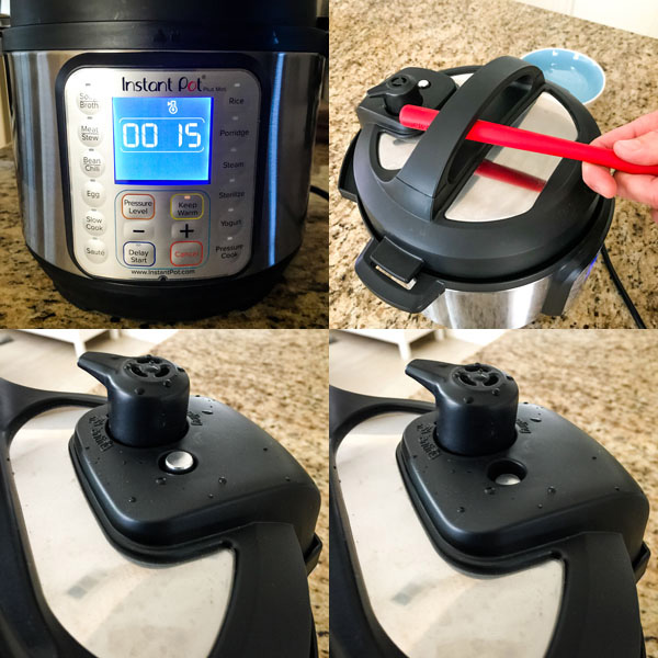 Condensation Water Collector Works with Instant Pot Duo Mini 3 qt, Duo Plus Mini 3 qt, Duo Nova, Ultra Mini 3 qt, and Lux Mini 3qt. This Collector