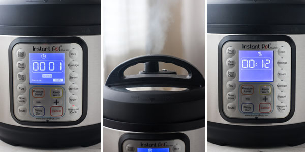 Close up photos of the Instant Pot Mini Screen and top with steam releasing.