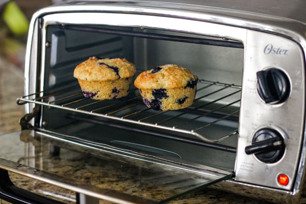 Two blueberry muffins on a rack in a toaster oven.