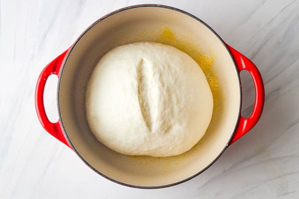 Simple 6-Ingredient Dutch Oven Bread, Baked in a Le Creuset Round Dutch Oven.  With this easy Dutch oven bread recipe, your Le Cr…