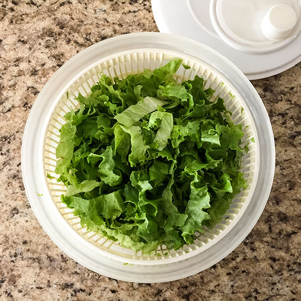 Chopped lettuce inside a salad spinner on a granite counter.