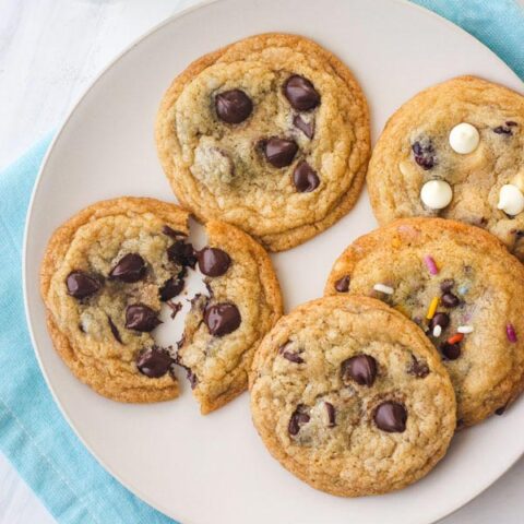 Toaster Oven Chocolate Chip Cookies Easy Small Batch Recipe