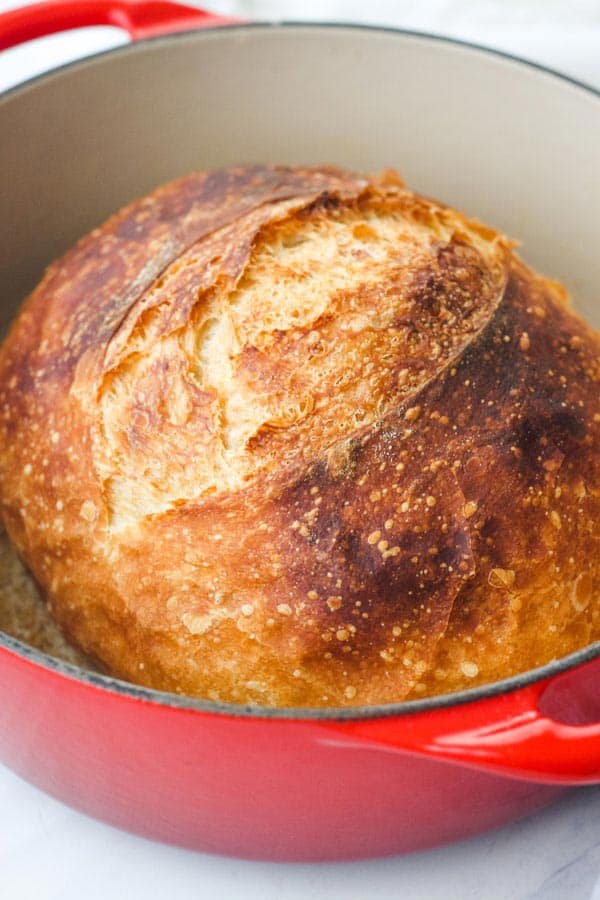 Closeup of bread loaf in red dutch oven.