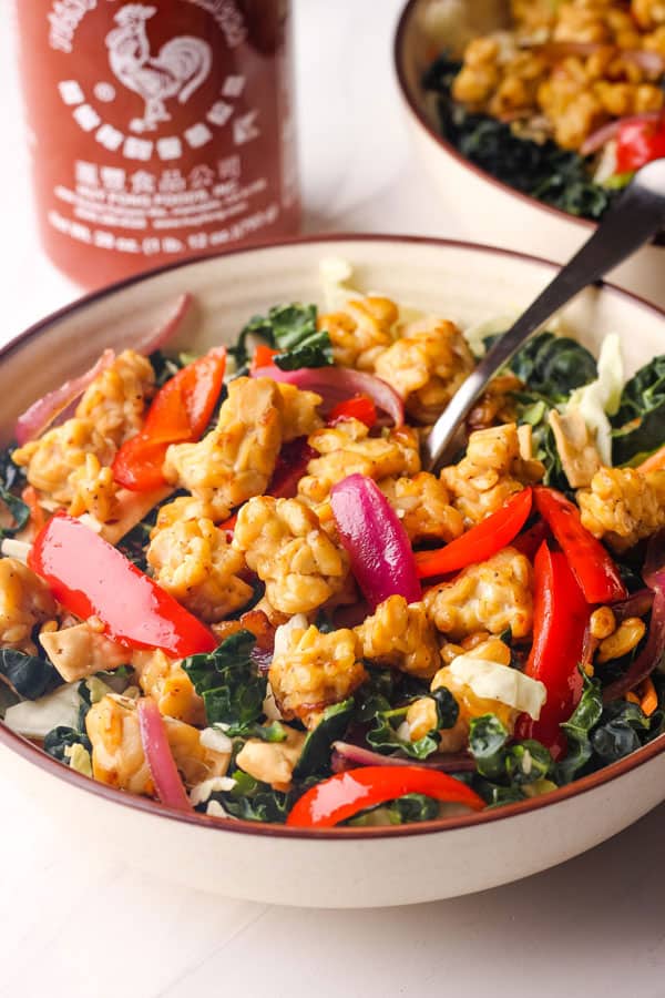 Closeup of crispy tempeh chunks and colorful salad in a bowl.