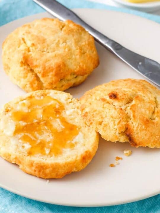 Can Home Made Biscuits Be Baked In A Convection Oven Flash Sales head.hesge.ch