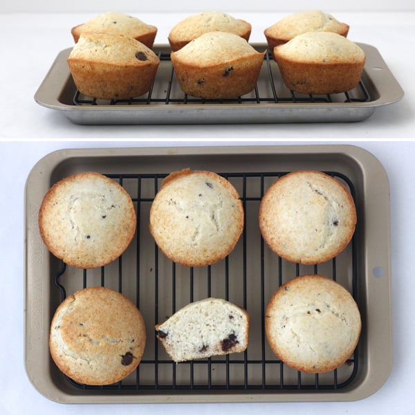 Muffins baked in a Breville Smart Oven with Convection