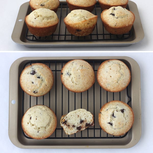 Muffins baked in a Breville Smart Oven with Convection