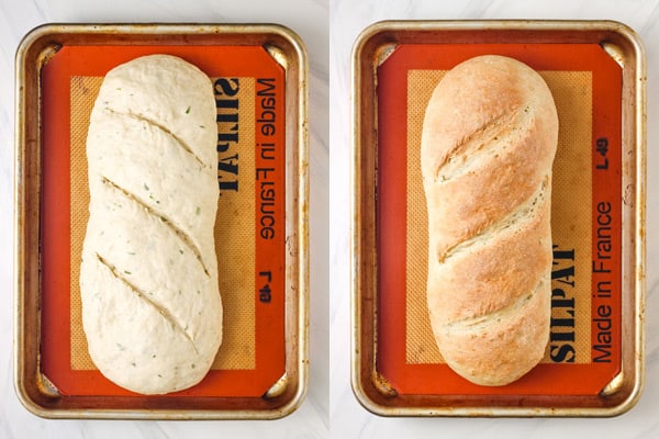 Large loaf of herby dough on a sheet pan and a large baked loaf of bread.