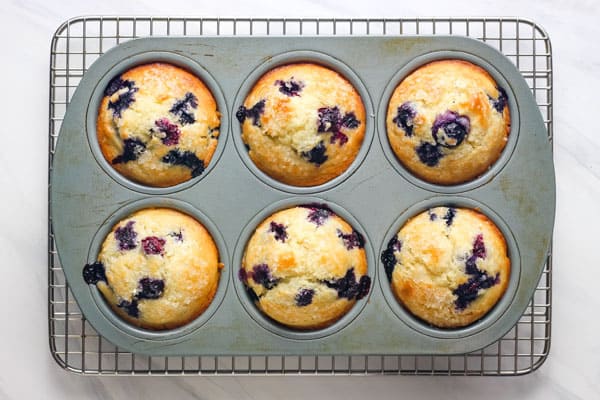 Six baked blueberry muffins cooling in pan set on a rack.