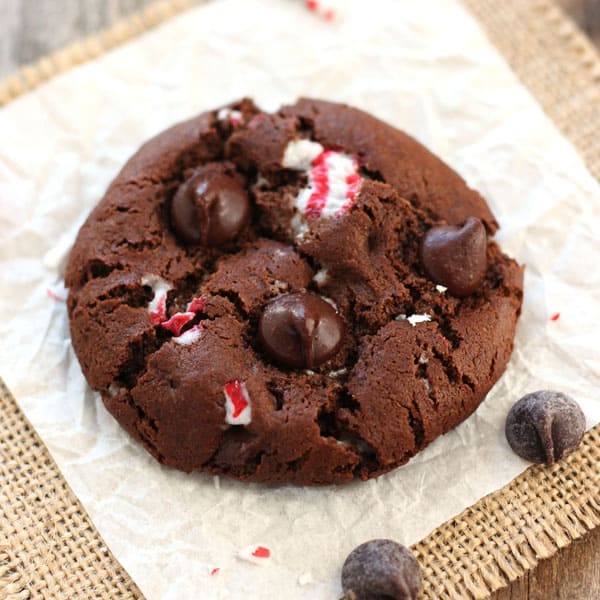 Peppermint Cocoa cookie with chocolate chips and crushed mint candies.