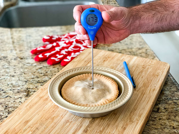 Hand holding a blue thermometer in a pot pie.